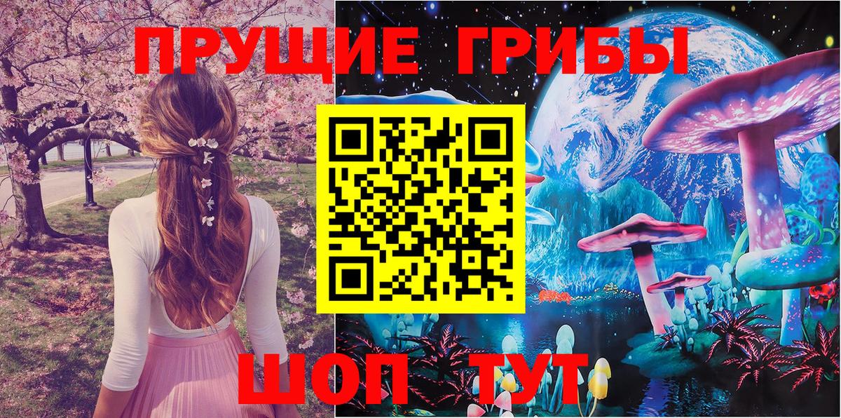 Биробиджан  Псилоцибиновые грибы MAGIC MUSHROOMS  Вход с VPN 